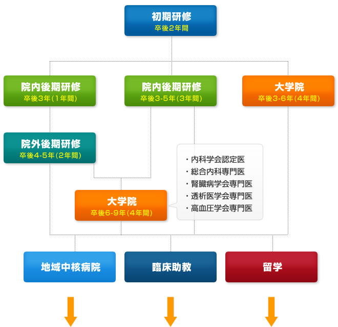 キャリアパス育成表