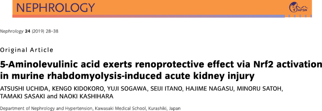 内田先生の論文がNephrology誌に掲載されました。