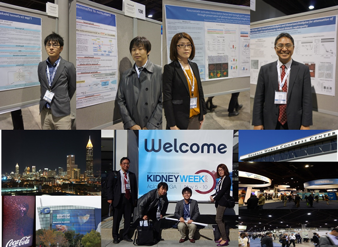 ASN KIDNEY WEEK 2013 (Atlanta 11月7日-10日) で発表しました