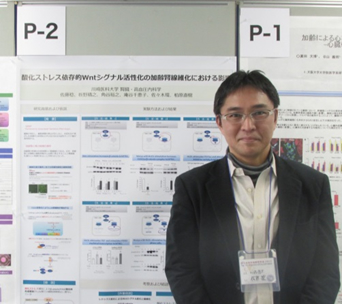 脳心血管抗加齢研究会2013(大阪　12月14日‐15日) で発表しました