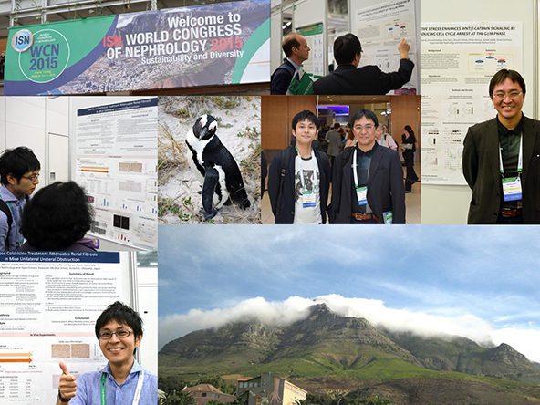 ISN World Congress of Nephrology 2015 (Cape Town, South Africa 3月13日－17日) で発表しました
